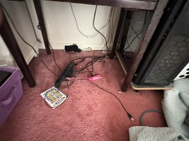 ROOM-2026 2026-05-12 07.46.36
