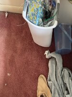 ROOM-2026 2026-05-21 08.08.28