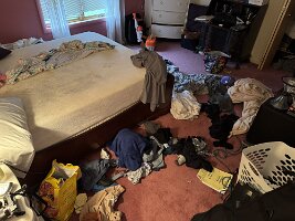 ROOM-2026-05-01 18.48.08