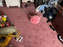 ROOM-2026-05-07 07.55.58