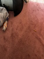 ROOM-2026-05-08 09.35.20